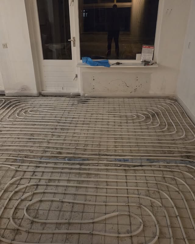 751819486 18138885790527535 8058763135376383928 N